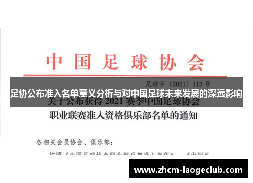 足协公布准入名单意义分析与对中国足球未来发展的深远影响